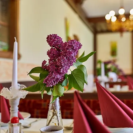 Landgasthof Klausner Penzion Molln