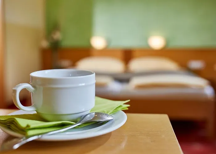 Landgasthof Klausner 3* Molln