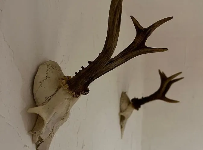 Landgasthof Klausner